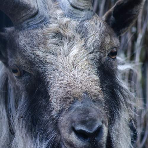 Photo #13546684