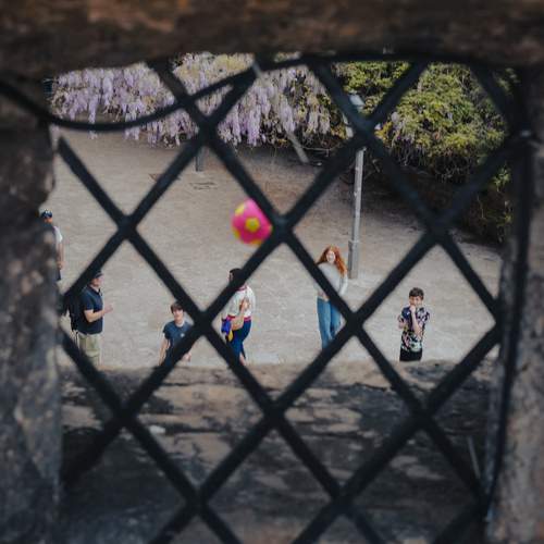 Photo #13546686