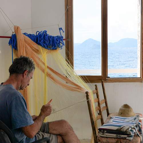 Photo #13546700