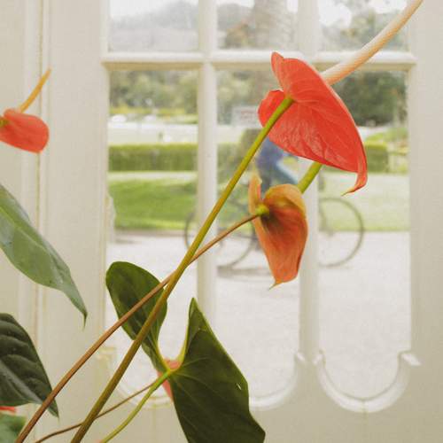 Photo #13546709