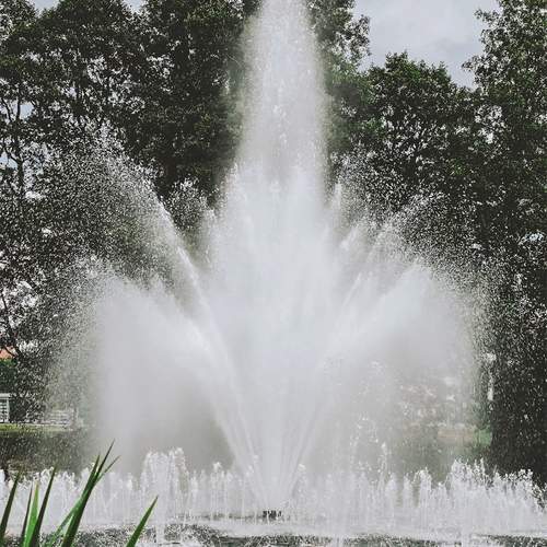 Photo #13546717