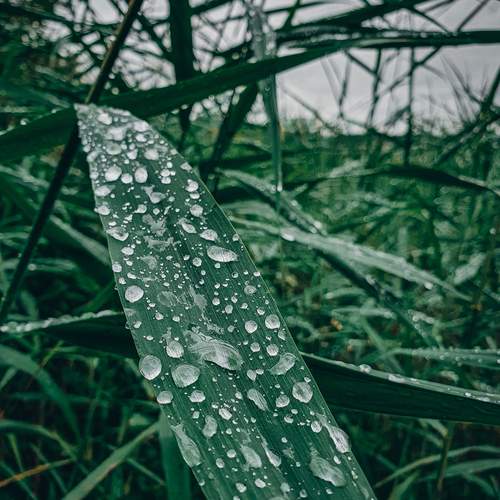 Photo #13546723
