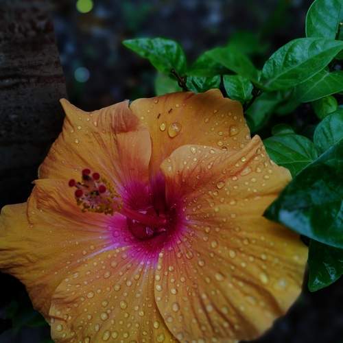 Photo #13546814