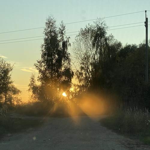 Photo #13547039