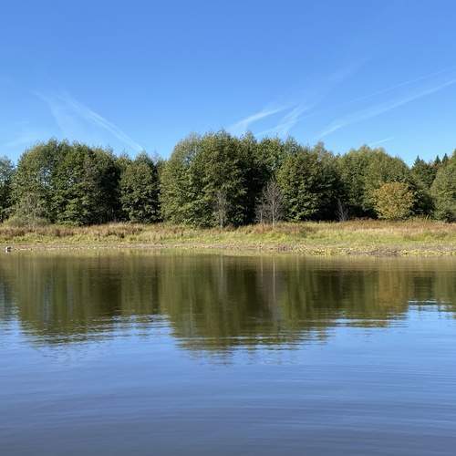 Photo #13547041