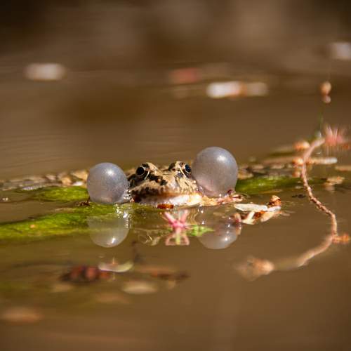 Photo #13547091