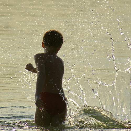 Photo #13547176