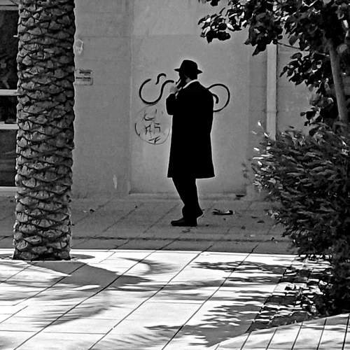 Photo #13547250