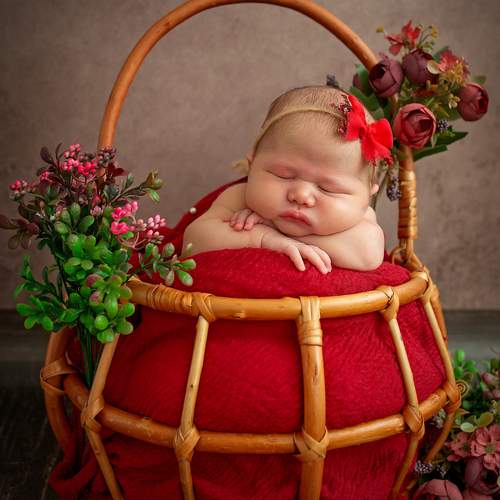 Photo #13547252