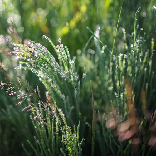 Photo #13547333