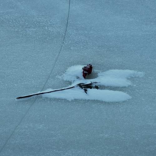 Photo #13547350