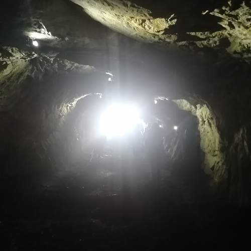 Photo #13547522