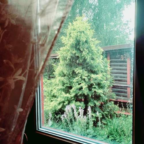 Photo #13547530