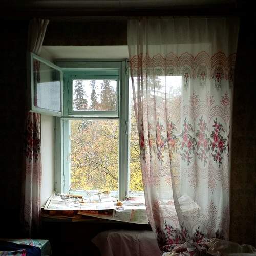 Photo #13547531