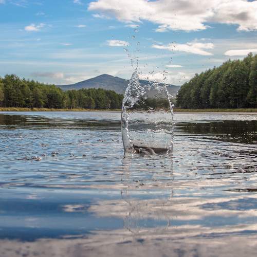 Photo #13547652