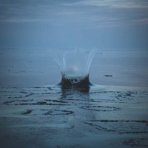 Photo #13547656