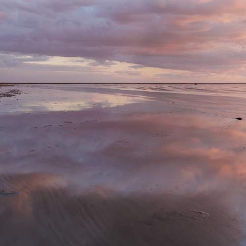 Photo #13547661