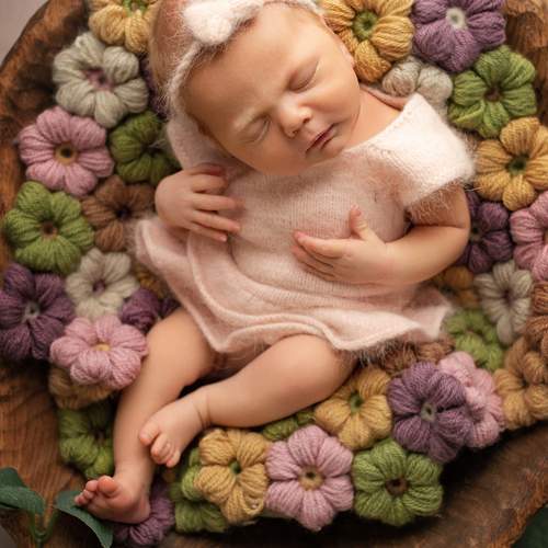 Photo #13547662