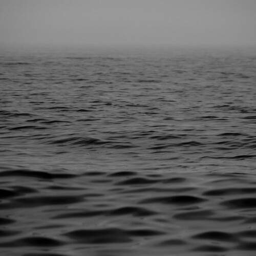Photo #13547664