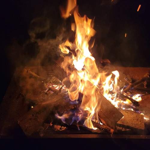 Photo #13547696