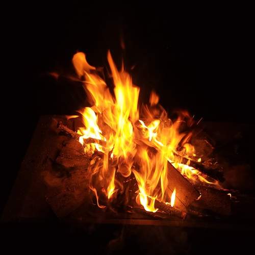 Photo #13547697
