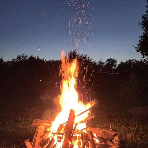 Photo #13547698