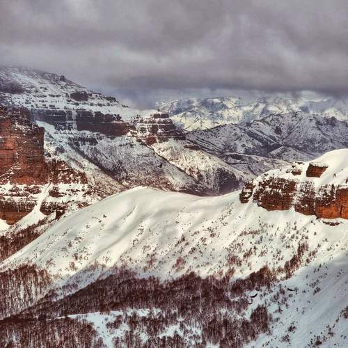 Photo #13547817