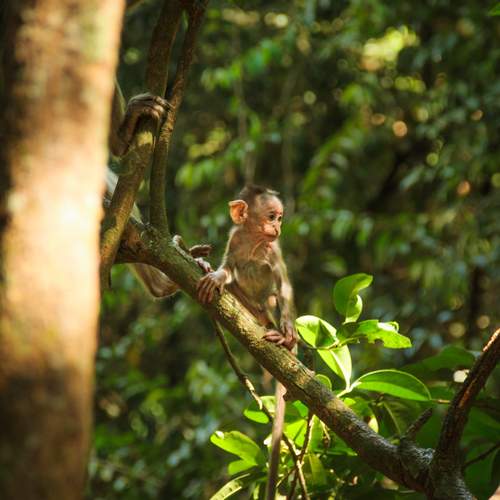 Photo #13547870