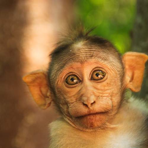 Photo #13547871