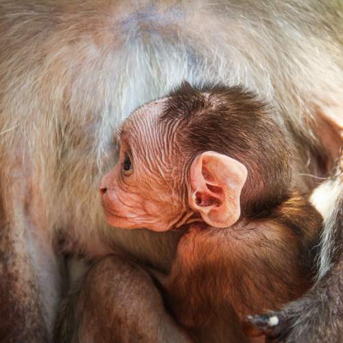 Photo #13547872