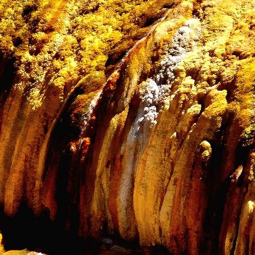 Photo #13547900