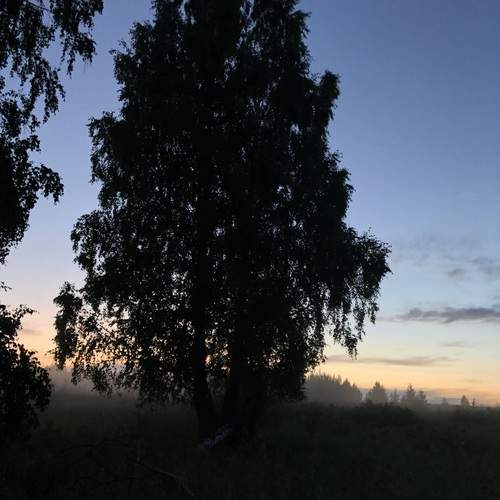 Photo #13548060