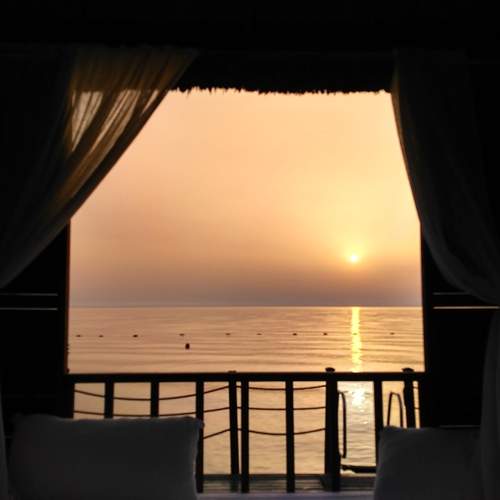 Photo #13548164
