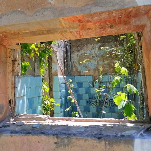 Photo #13548231