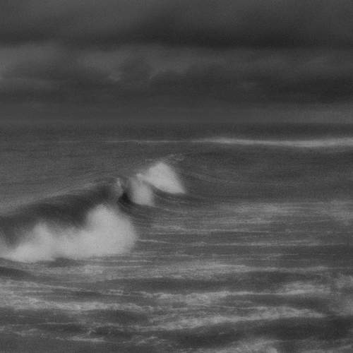 Photo #13548344