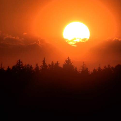 Photo #13548350