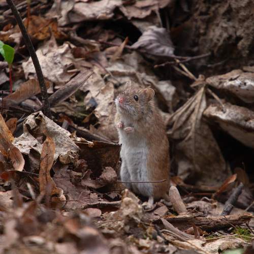 Photo #13548404
