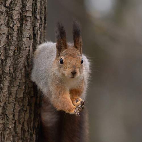 Photo #13548405