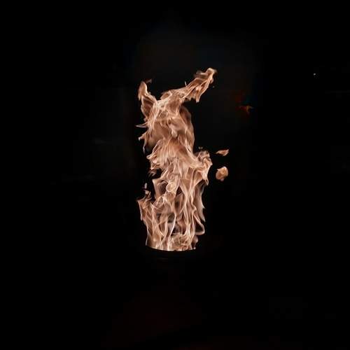 Photo #13548547
