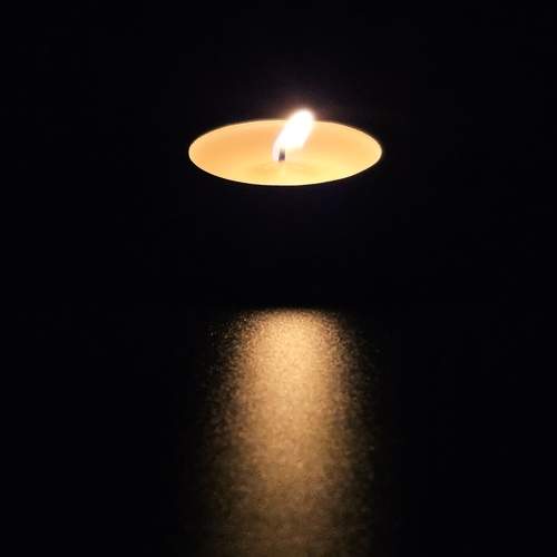 Photo #13548548
