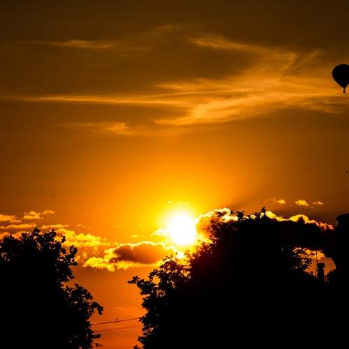 Photo #13548644