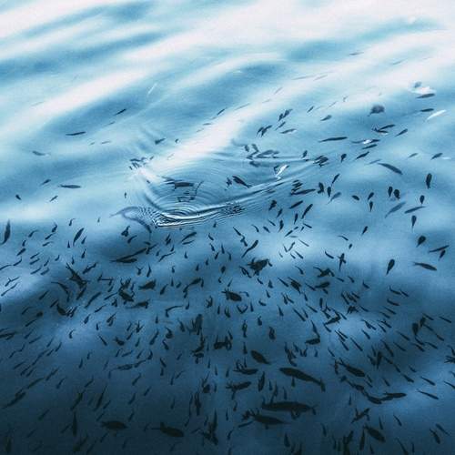 Photo #13548801