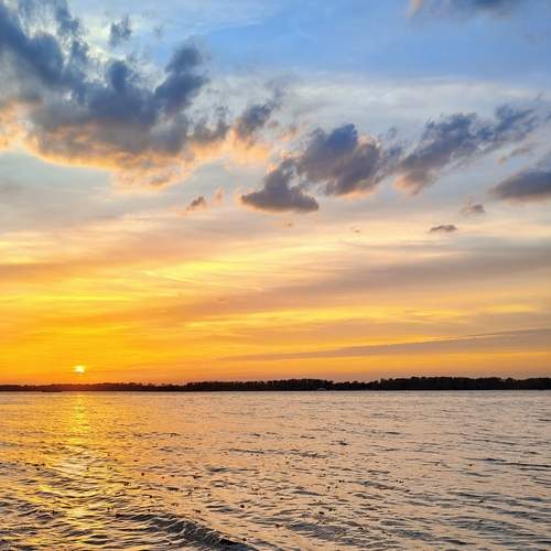 Photo #13548862