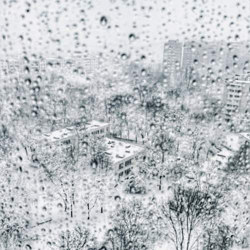 Photo #13548933