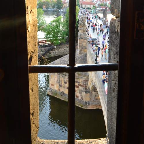 Photo #13549011