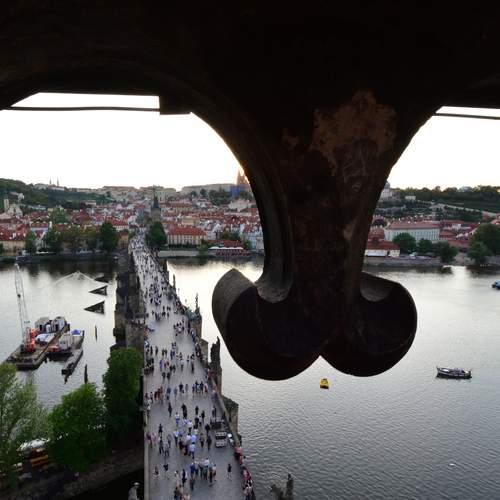 Photo #13549013