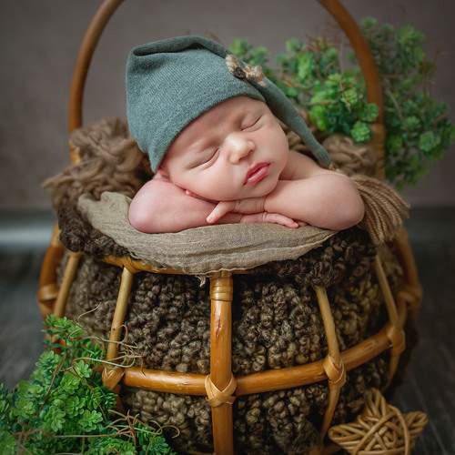 Photo #13549122