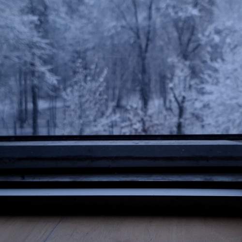Photo #13549155