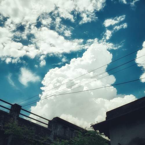 Photo #13549244