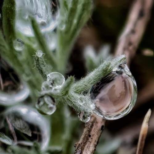 Photo #13549315